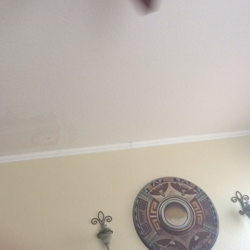 Meet your Posher, Gabby